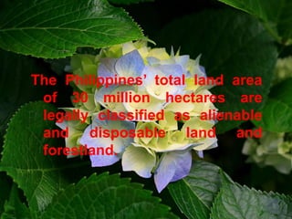 The Philippines’ total land area
 of 30 million hectares are
 legally classified as alienable
 and disposable land and
 forestland.
 