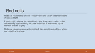 The Rods Detect General OPTOMETRY Presentation of historytaking.pptx