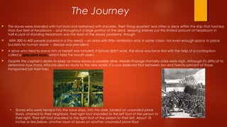 The Journey
 The slaves were branded with hot irons and restrained with shackles. Their "living quarters" was often a deck within the ship that had less
than five feet of headroom -- and throughout a large portion of the deck, sleeping shelves cut this limited amount of headroom in
half.4 Lack of standing headroom was the least of the slaves' problems, though.
 With 300 to 400 people packed in a tiny area5 -- an area with little ventilation and, in some cases, not even enough space to place
buckets for human waste -- disease was prevalent.
 A slave who tried to starve him or herself was tortured. If torture didn't work, the slave was force fed with the help of a contraption
called a speculum orum, which held the mouth open.
 Despite the captain's desire to keep as many slaves as possible alive, Middle Passage mortality rates were high. Although it's difficult to
determine how many Africans died en route to the new world, it is now believed that between ten and twenty percent of those
transported lost their lives.
• Slaves who were herded into the slave ships, into the dark, landed on unsanded plank
floors, chained to their neighbors, their right foot shackled to the left foot of the person to
their right. Their left foot shackled to the right foot of the person to their left. About 18
inches or less below, another layer of slaves on another unsanded plank floor.
 