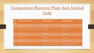 Sr.
no.
Part of a Cell Plant Cells Animal Cells
1. Cell Membrane Present Present
2. Nucleus & Nucleus Membrane Present Present
3. Cytoplasm Present Present
4. Cell Wall Present Absent
5. Plastids Present Absent
6. Vacuole Present (Large in size) Present (Small in size)
11
 