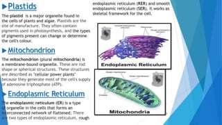 Plastids
The plastid is a major organelle found in
the cells of plants and algae. Plastids are the
site of manufacture. They often contain
pigments used in photosynthesis, and the types
of pigments present can change or determine
the cell's colour.
 Mitochondrion
The mitochondrion (plural mitochondria) is
a membrane-bound organelle. These are rod
shape or spherical structures. These structures
are described as "cellular power plants"
because they generate most of the cell's supply
of adenosine triphosphate (ATP).
 Endoplasmic Reticulum
The endoplasmic reticulum (ER) is a type
of organelle in the cells that forms an
interconnected network of flattened. There
are two types of endoplasmic reticulum, rough
endoplasmic reticulum (RER) and smooth
endoplasmic reticulum (SER). It works as
skeletal framework for the cell.
8
 