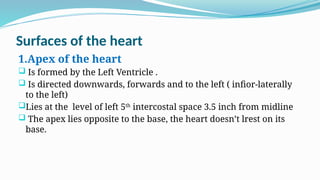 Group 1Radiological Anatomy Of the heart and great vessels.pptx