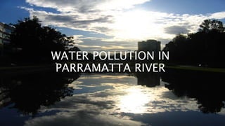 WATER POLLUTION IN
PARRAMATTA RIVER
 