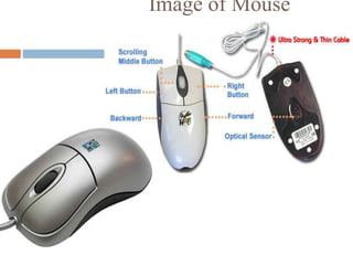 Mouse Input Componets Components of computer system and input-output devices and storage ...