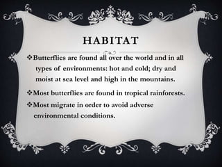 HABITAT 
Butterflies are found all over the world and in all 
types of environments: hot and cold; dry and 
moist at sea level and high in the mountains. 
Most butterflies are found in tropical rainforests. 
Most migrate in order to avoid adverse 
environmental conditions. 
 