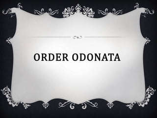 ORDER ODONATA 
 