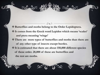  Butterflies and moths belong to the Order Lepidoptera. 
 It comes from the Greek word Lepidos which means ‘scales’ 
and ptera meaning ‘wings’ 
There are more types of butterflies and moths than there are 
of any other type of insects except beetles. 
 It is estimated that there are about 150,000 different species 
of these order. 28,000 of these are butterflies and 
the rest are moths. 
 