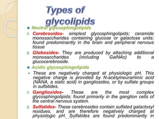 Globoside Lipids | PPTX
