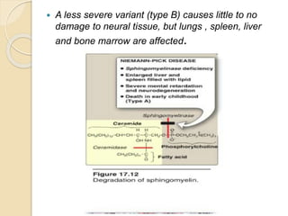 A less severe variant (type B) causes little to no
damage to neural tissue, but lungs , spleen, liver
and bone marrow are affected.
 