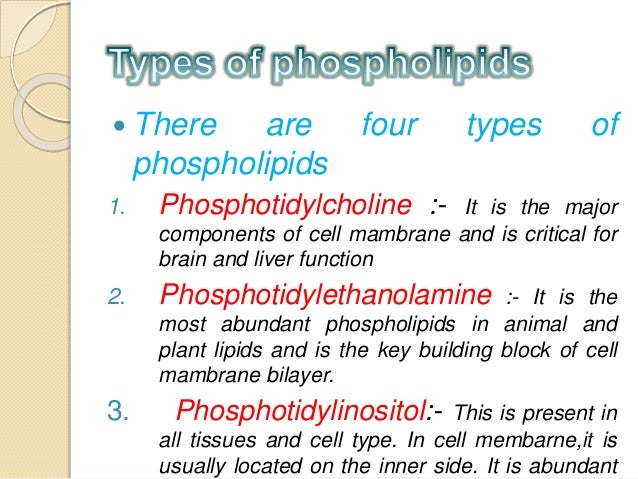 Lipids