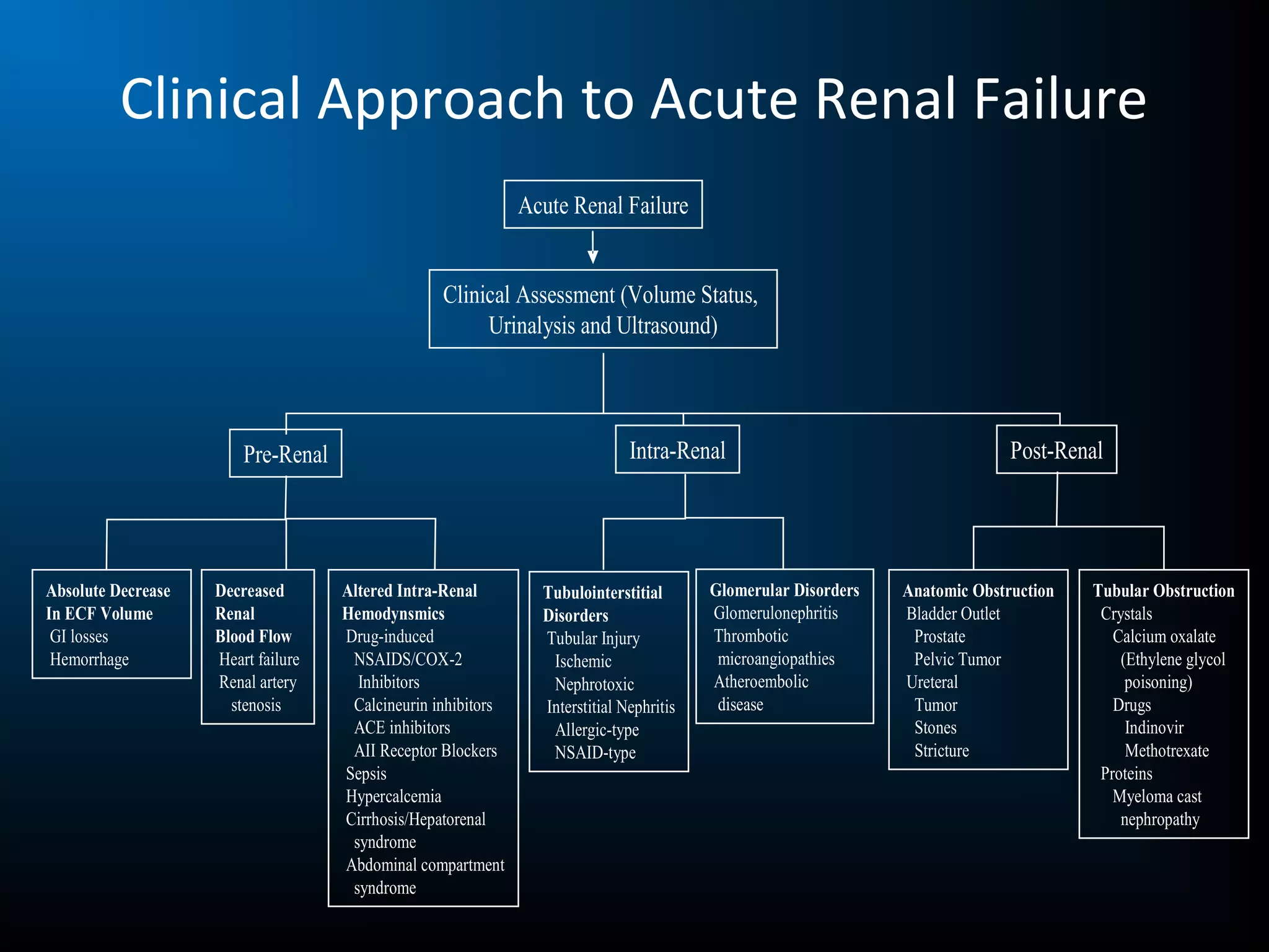 acute-renal-failure-lecture-notes-ppt-blood-disorders-diseases