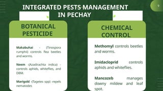 INTEGRATED PEST MANAGEMENT IN SELECTED VEGETABLES | PPTX