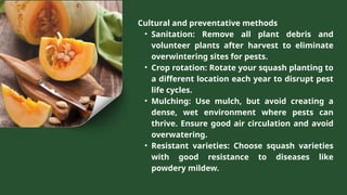 INTEGRATED PEST MANAGEMENT IN SELECTED VEGETABLES | PPTX