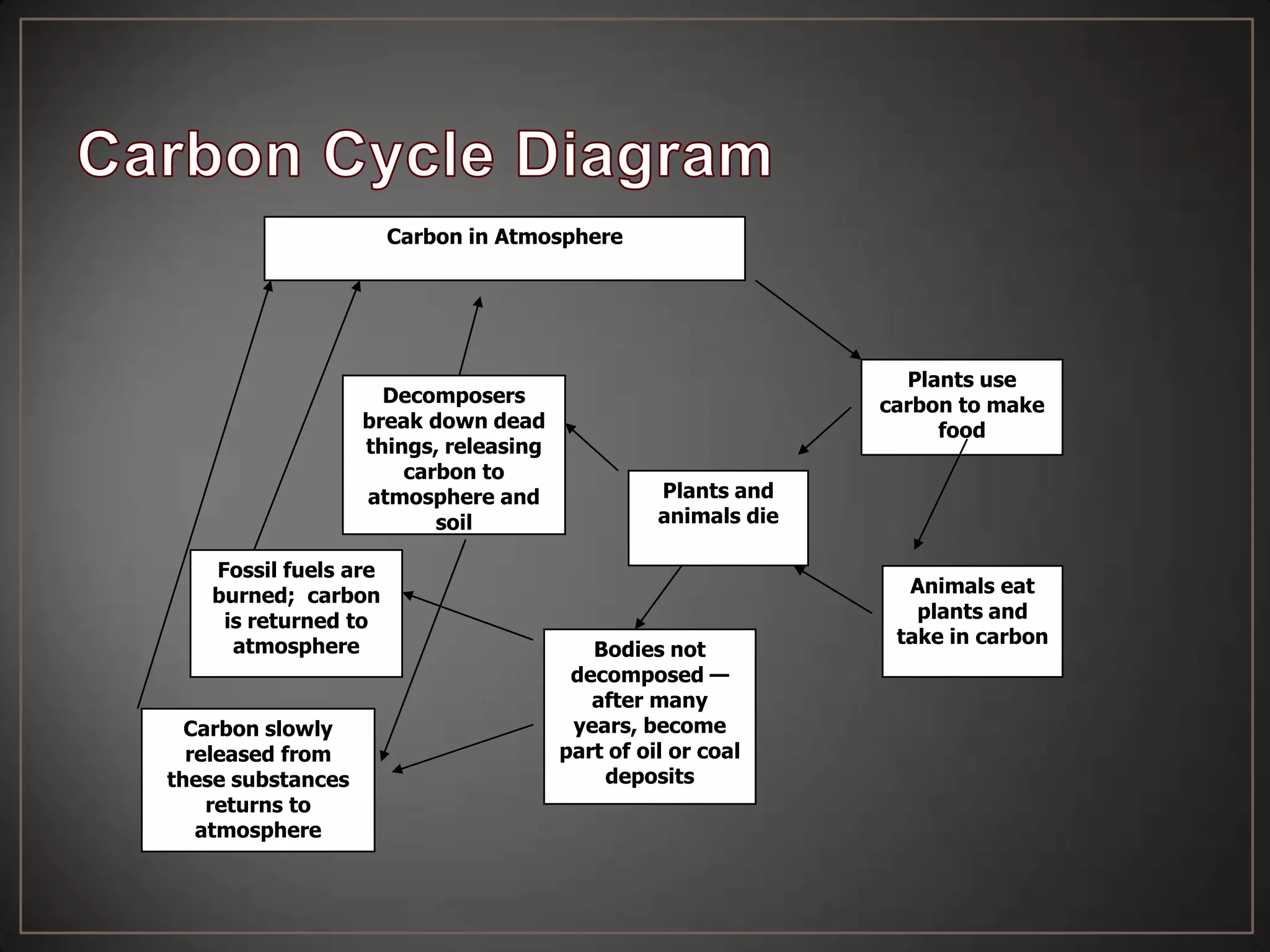 Carbon in Atmosphere

Decomposers
break down dead
things, releasing
carbon to
atmosphere and
soil
Fossil fuels are
burned; carbon
is returned to
atmosphere

Carbon slowly
released from
these substances
returns to
atmosphere

Plants use
carbon to make
food
Plants and
animals die

Bodies not
decomposed —
after many
years, become
part of oil or coal
deposits

Animals eat
plants and
take in carbon

 