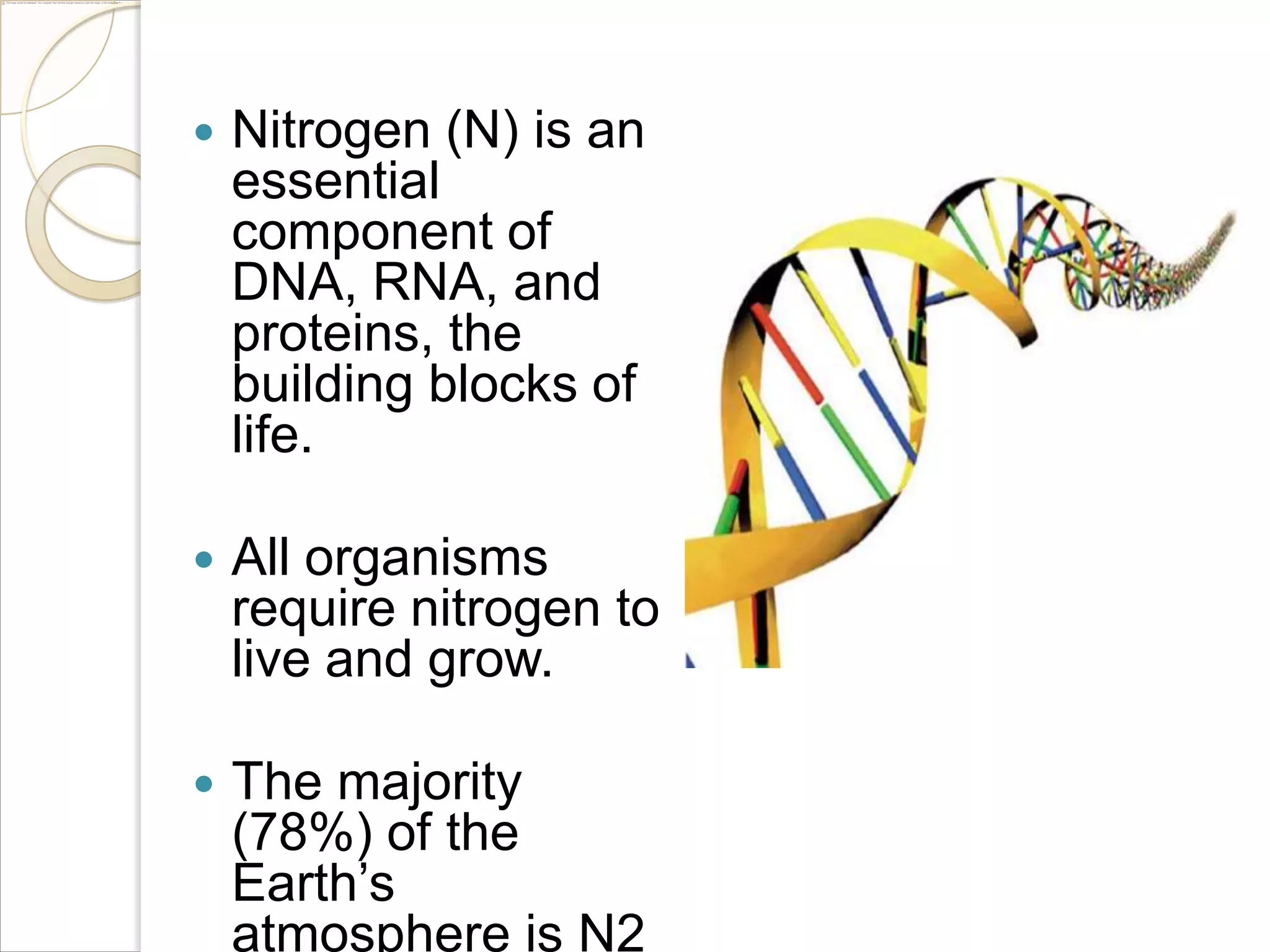 

Nitrogen (N) is an
essential
component of
DNA, RNA, and
proteins, the
building blocks of
life.



All organisms
require nitrogen to
live and grow.



The majority
(78%) of the
Earth’s
atmosphere is N2

 