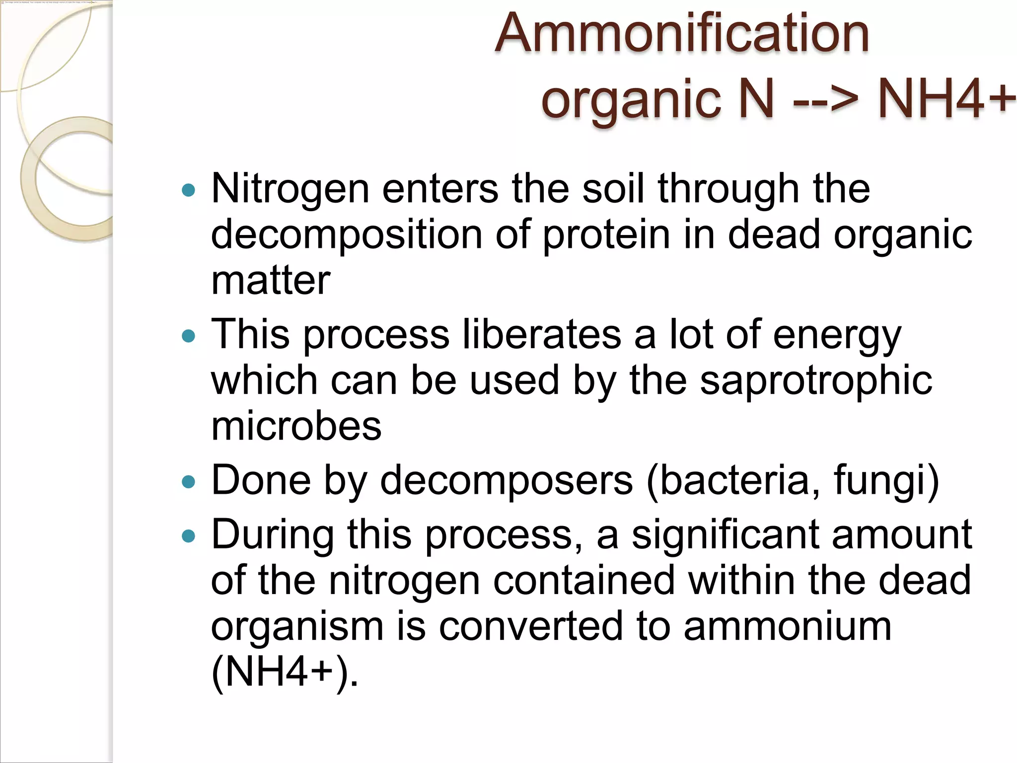 Ammonification
organic N --> NH4+







Nitrogen enters the soil through the
decomposition of protein in dead organic
matter
This process liberates a lot of energy
which can be used by the saprotrophic
microbes
Done by decomposers (bacteria, fungi)
During this process, a significant amount
of the nitrogen contained within the dead
organism is converted to ammonium
(NH4+).

 