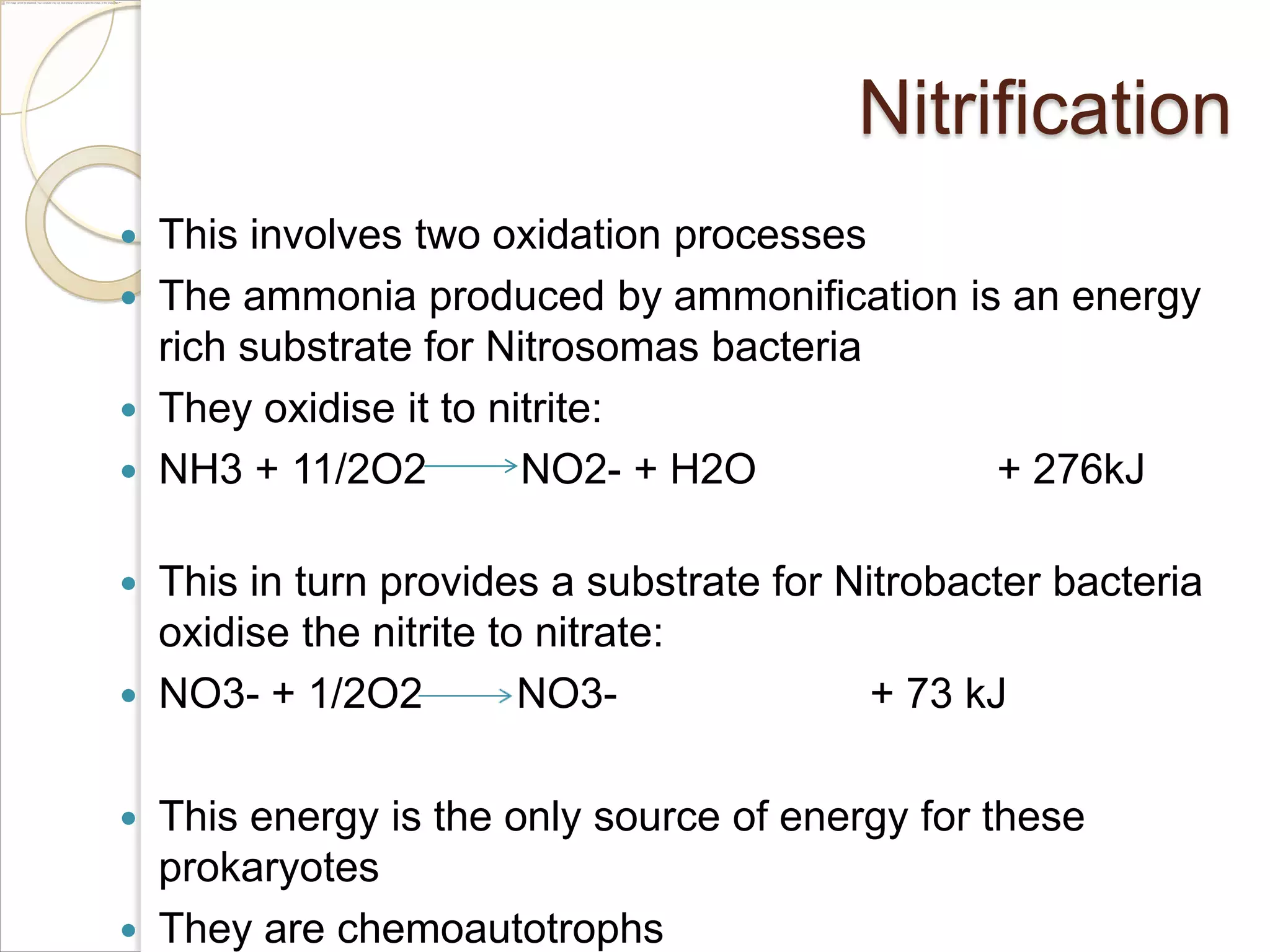Nitrification










This involves two oxidation processes
The ammonia produced by ammonification is an energy
rich substrate for Nitrosomas bacteria
They oxidise it to nitrite:
NH3 + 11/2O2
NO2- + H2O
+ 276kJ
This in turn provides a substrate for Nitrobacter bacteria
oxidise the nitrite to nitrate:
NO3- + 1/2O2
NO3+ 73 kJ
This energy is the only source of energy for these
prokaryotes
They are chemoautotrophs

 
