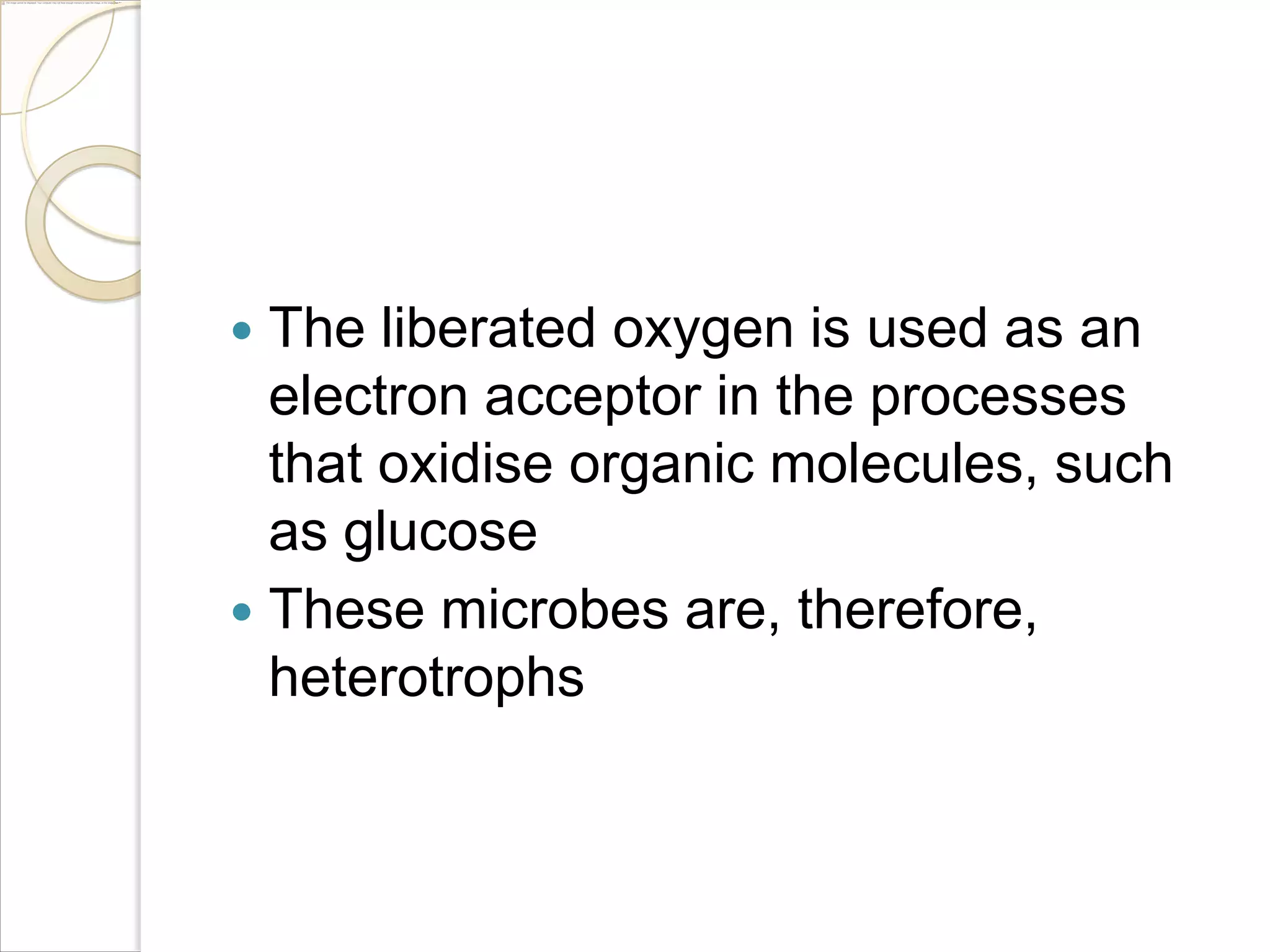 The liberated oxygen is used as an
electron acceptor in the processes
that oxidise organic molecules, such
as glucose
 These microbes are, therefore,
heterotrophs


 