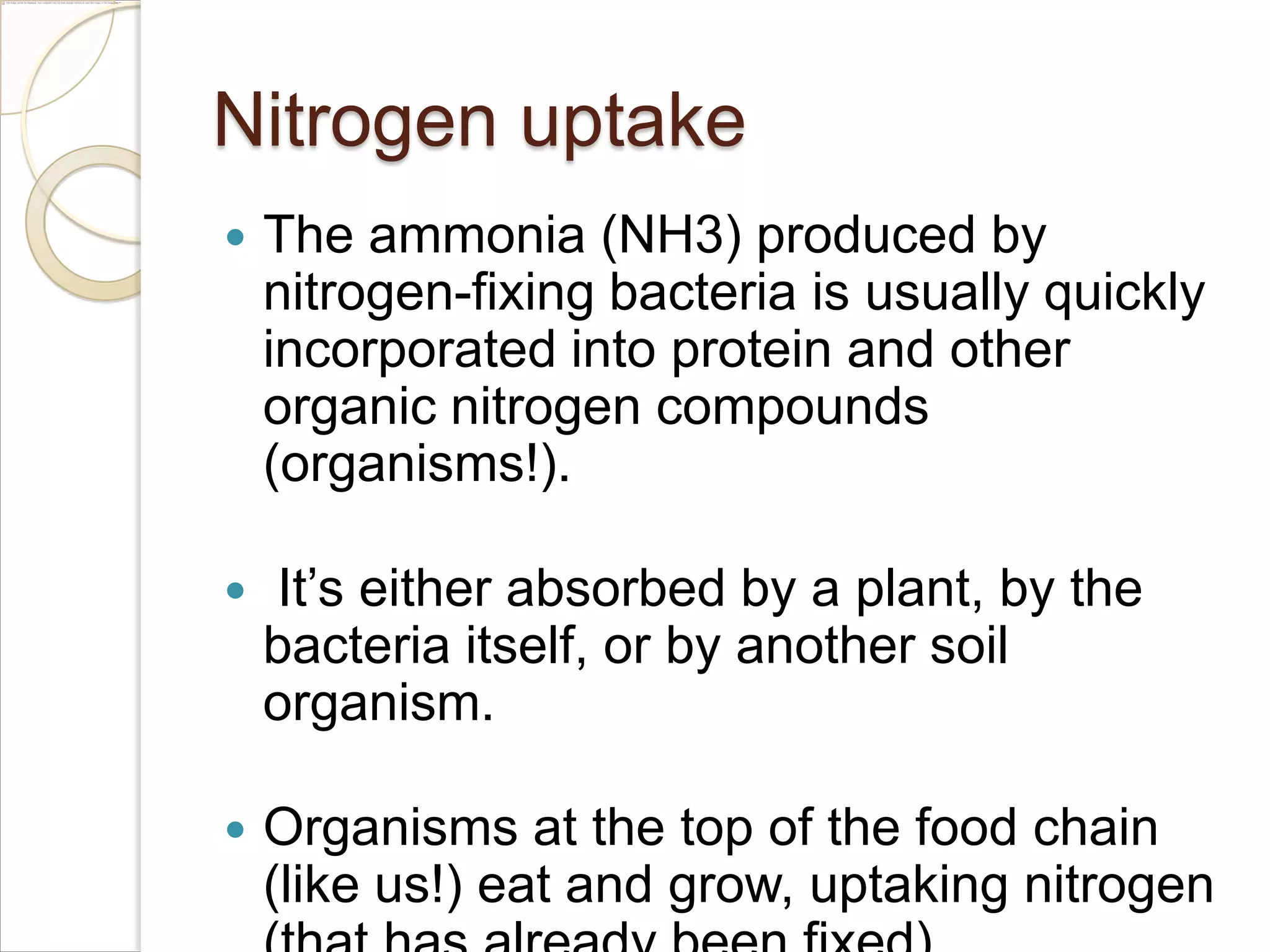 Nitrogen uptake


The ammonia (NH3) produced by
nitrogen-fixing bacteria is usually quickly
incorporated into protein and other
organic nitrogen compounds
(organisms!).



It’s either absorbed by a plant, by the
bacteria itself, or by another soil
organism.



Organisms at the top of the food chain
(like us!) eat and grow, uptaking nitrogen

 