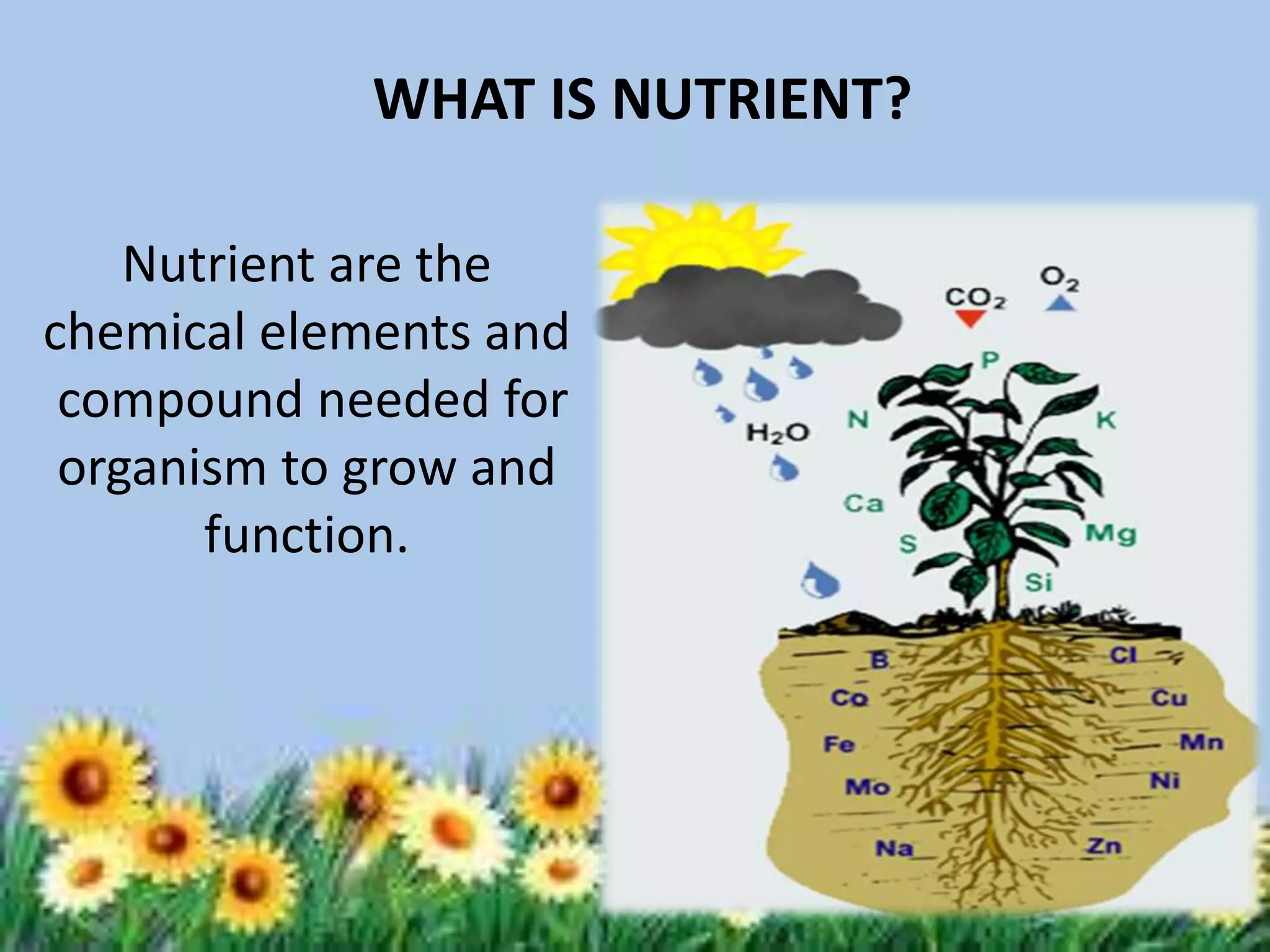 WHAT IS NUTRIENT?
Nutrient are the
chemical elements and
compound needed for
organism to grow and
function.

 