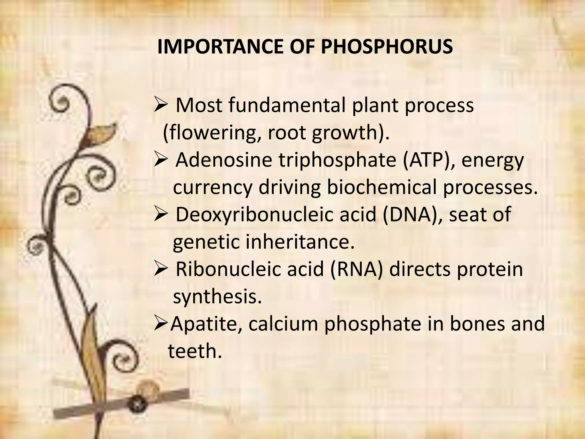 IMPORTANCE OF PHOSPHORUS
 Most fundamental plant process
(flowering, root growth).
 Adenosine triphosphate (ATP), energy
currency driving biochemical processes.
 Deoxyribonucleic acid (DNA), seat of
genetic inheritance.
 Ribonucleic acid (RNA) directs protein
synthesis.
Apatite, calcium phosphate in bones and
teeth.

 