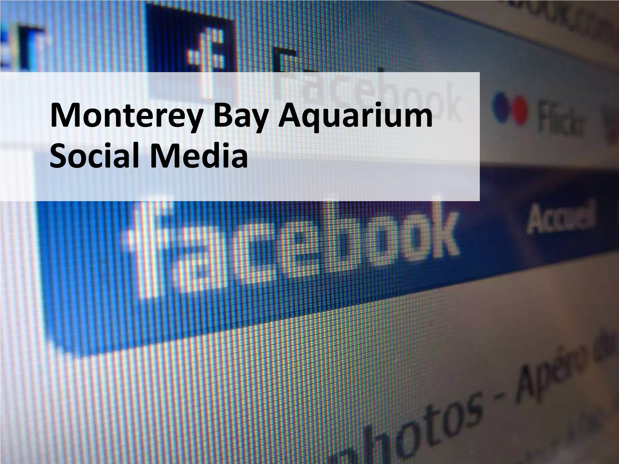Monterey Bay Aquarium
Social Media
 