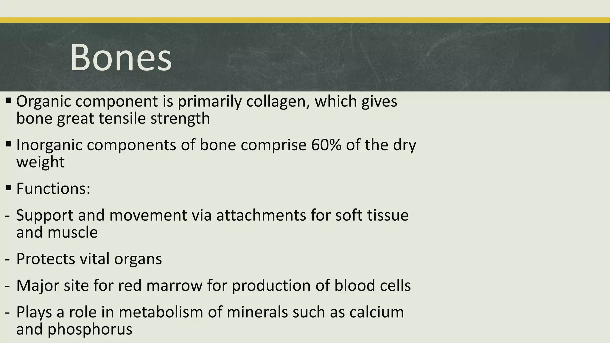 Bones
 Organic component is primarily collagen, which gives
bone great tensile strength
 Inorganic components of bone comprise 60% of the dry
weight
 Functions:
- Support and movement via attachments for soft tissue
and muscle
- Protects vital organs
- Major site for red marrow for production of blood cells
- Plays a role in metabolism of minerals such as calcium
and phosphorus
 