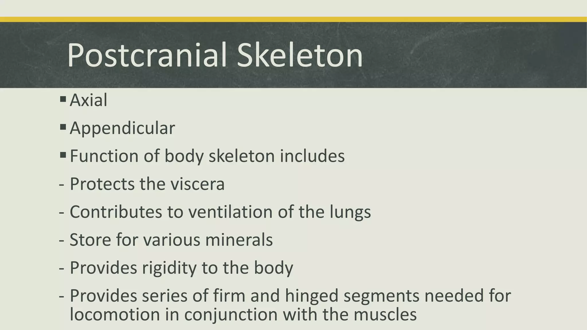 Postcranial Skeleton
Axial
Appendicular
Function of body skeleton includes
- Protects the viscera
- Contributes to ventilation of the lungs
- Store for various minerals
- Provides rigidity to the body
- Provides series of firm and hinged segments needed for
locomotion in conjunction with the muscles
 
