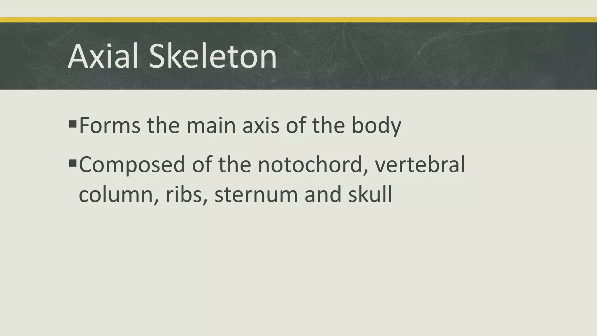 Axial Skeleton
Forms the main axis of the body
Composed of the notochord, vertebral
column, ribs, sternum and skull
 