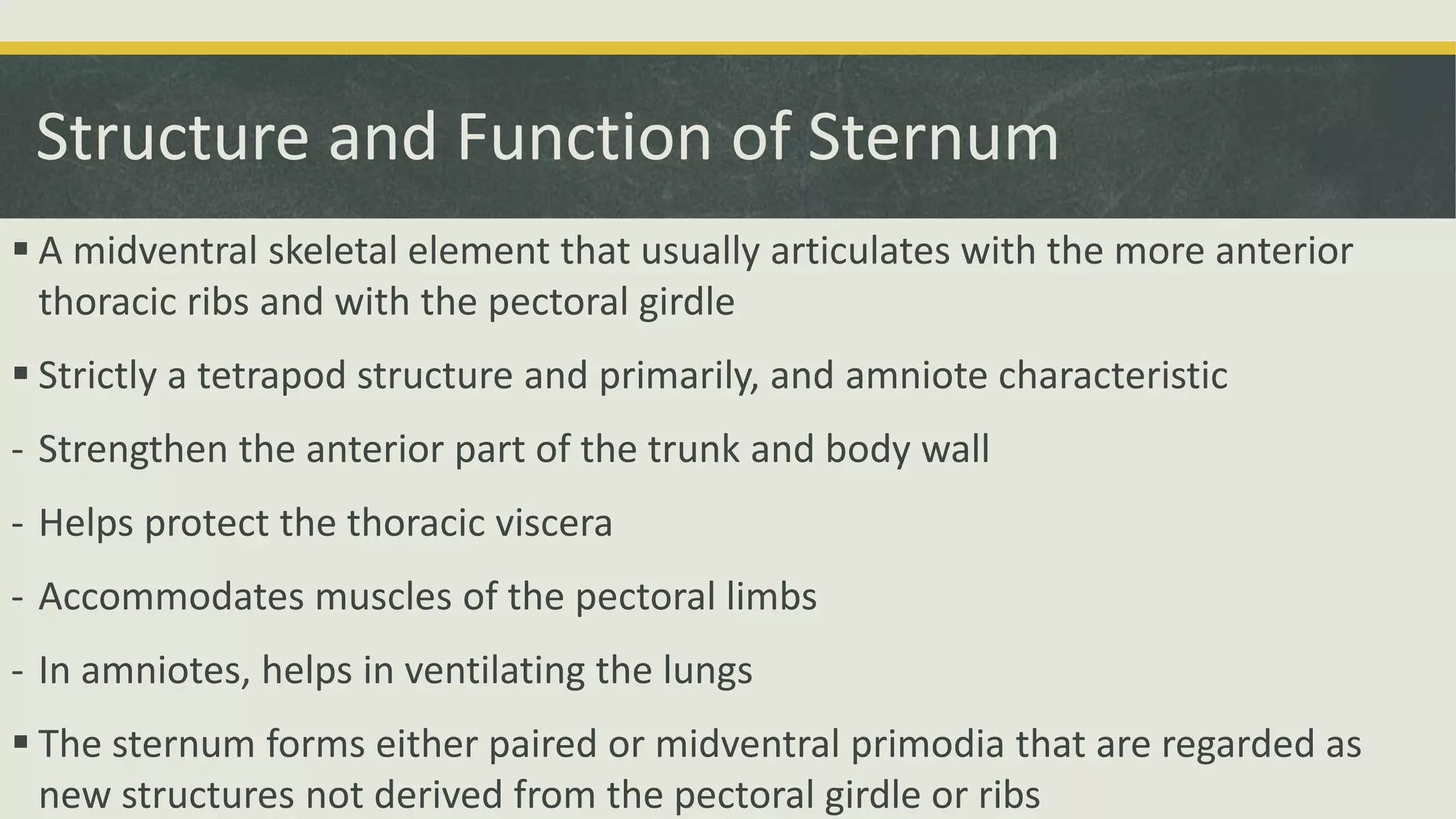 Structure and Function of Sternum
 A midventral skeletal element that usually articulates with the more anterior
thoracic ribs and with the pectoral girdle
 Strictly a tetrapod structure and primarily, and amniote characteristic
- Strengthen the anterior part of the trunk and body wall
- Helps protect the thoracic viscera
- Accommodates muscles of the pectoral limbs
- In amniotes, helps in ventilating the lungs
 The sternum forms either paired or midventral primodia that are regarded as
new structures not derived from the pectoral girdle or ribs
 