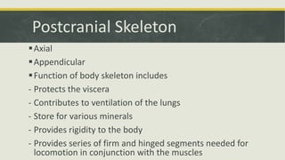 Comparative Anatomy - Skeletal System | PPTX