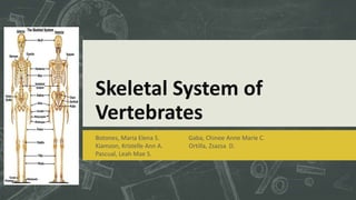 Skeletal System of
Vertebrates
Botones, Maria Elena S. Gaba, Chinee Anne Marie C.
Kiamzon, Kristelle Ann A. Ortilla, Zsazsa D.
Pascual, Leah Mae S.
 