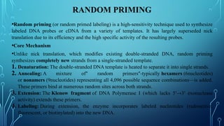 Random Lacks Advanced Techniques and Applications in Genomic Probes and DNA Labeling ...