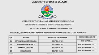 COLLEGE OF NATURALAND APPLIED SCIENCES (CONAS)
DEPARTMENT OF MOLECULAR BIOLOGYAND BIOTECHNOLOGY
MC 231; MICROBIAL NUTRITION AND METABOLISM
GROUP 20 ,ORGANOTROPHS: AEROBIC RESPIRATION (GLYCOLYSIS AND CITRIC ACID CYCLE
UNIVERSITY OF DAR ES SALAAM
S/N NAMES REGISTRATION NUMBER
01 ANTONY CHARLES KIMARIO 2017-04-07021
02 NDOMBELE JACKLINE E 2017-04-01387
03 MANGULA JUSTINE 2017-04-01391
04 SHIJA RACHEL 2017-04-01372
2/1/2019
DEGREE PROGRAM
BSC GENERAL
BSC MICROBIOLOGY
BSC MICROBIOLOGY
BSC MICROBIOLOGY
GROUP NO 20
 
