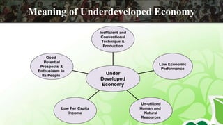 Meaning of Underdeveloped Economy
 