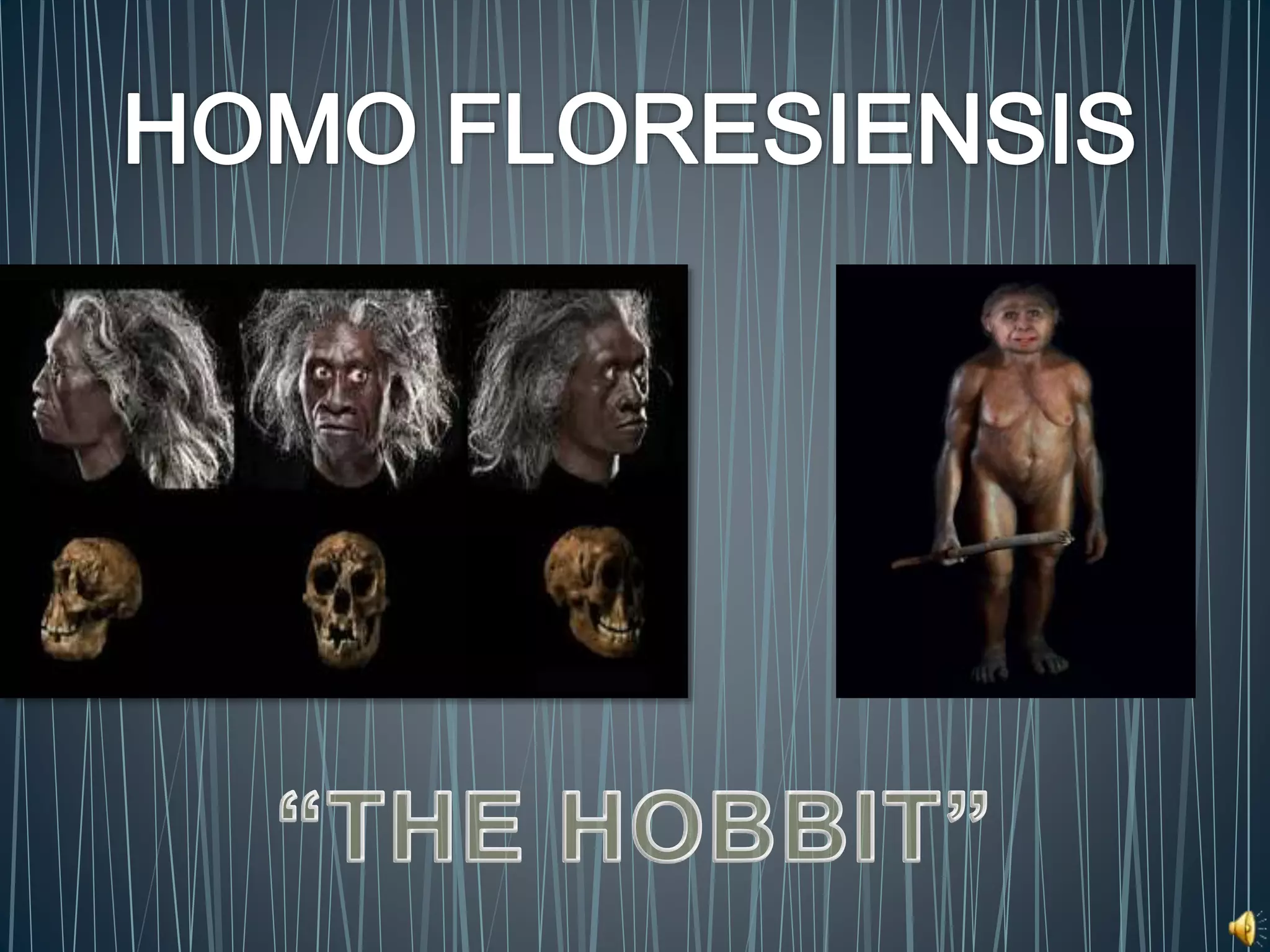 Homo Floresiensis presentation | PPTX