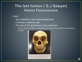 • Skull 
• Very small with a very small vertically face 
• Forehead is relatively high 
• The cast of LB1 skull shows a very small brain 
• Brain volume of 380cc comparable to living chimpanzees and below to 
gorillas 
 