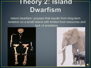 Island dwarfism- process that results from long-term 
isolation on a small island with limited food resources and 
lack of predators. 
 