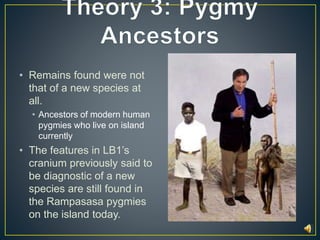 • Remains found were not 
that of a new species at 
all. 
• Ancestors of modern human 
pygmies who live on island 
currently 
• The features in LB1’s 
cranium previously said to 
be diagnostic of a new 
species are still found in 
the Rampasasa pygmies 
on the island today. 
 
