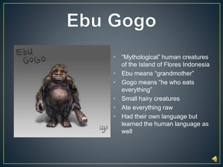 • “Mythological” human creatures 
of the Island of Flores Indonesia 
• Ebu means “grandmother” 
• Gogo means “he who eats 
everything” 
• Small hairy creatures 
• Ate everything raw 
• Had their own language but 
learned the human language as 
well 
 