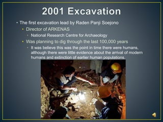 • The first excavation lead by Raden Panji Soejono 
• Director of ARKENAS 
• National Research Centre for Archaeology 
• Was planning to dig through the last 100,000 years 
• It was believe this was the point in time there were humans, 
although there were little evidence about the arrival of modern 
humans and extinction of earlier human populations. 
 