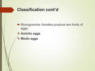 Classification cont’d
 Monogononta: females produce two kinds of
eggs;
 Amictic eggs
 Mictic eggs
 