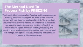 Freezing Method Example Comprehensive Overview of Fish Freezing Methods and Their Benefits | PPTX