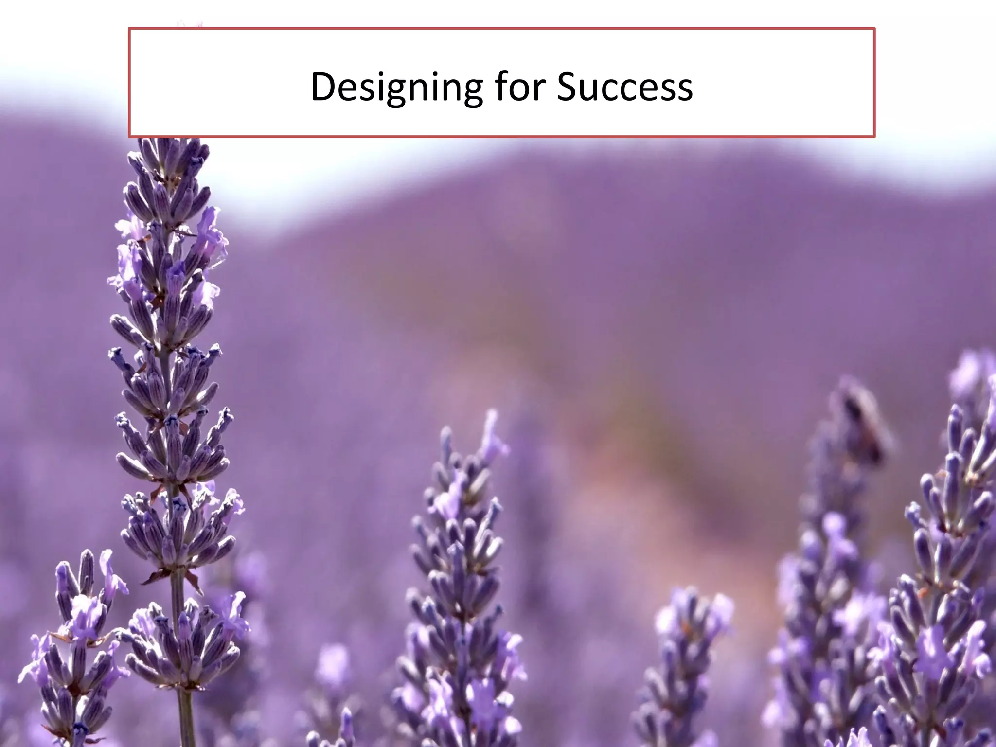Designing for Success
 