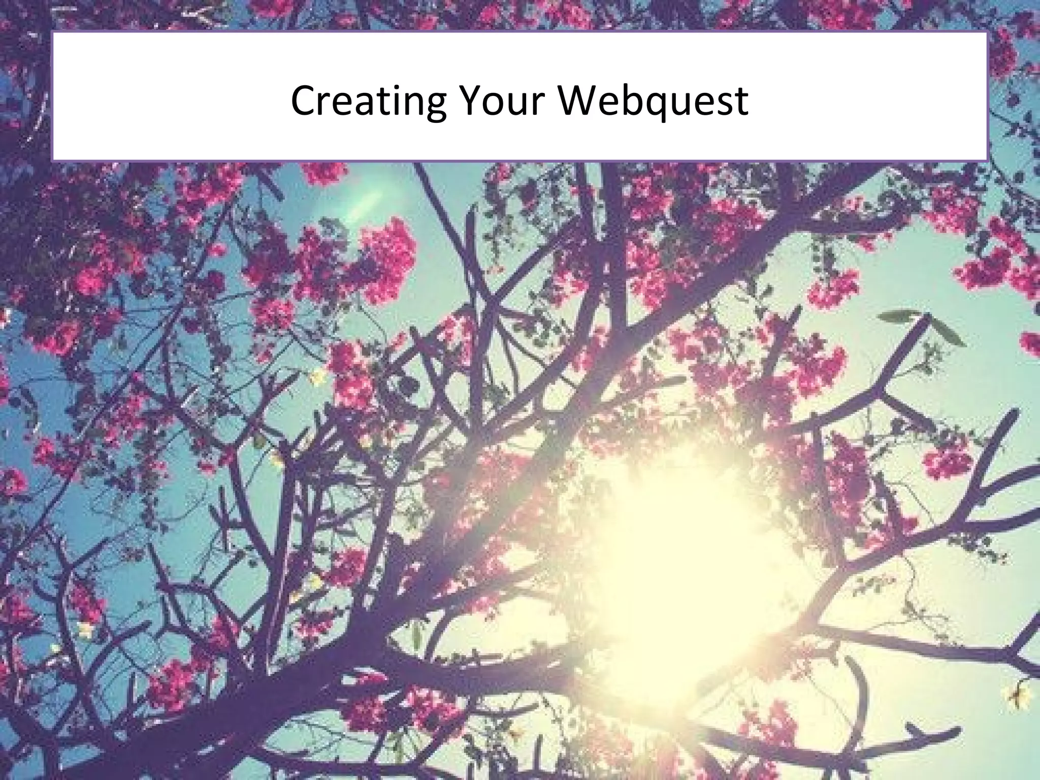 Creating Your Webquest
 