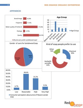 marketing plan (Soap) | PDF