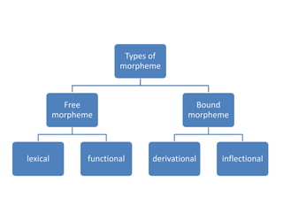 Types of
morpheme
Free
morpheme
lexical functional
Bound
morpheme
derivational inflectional
 