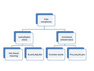 Free
morpheme
Lexical(open
class)
Has lexical
meaning
N,verb,Adj,Adv
Functional
(closed class)
Function words Pre,conj,Art,pro
 