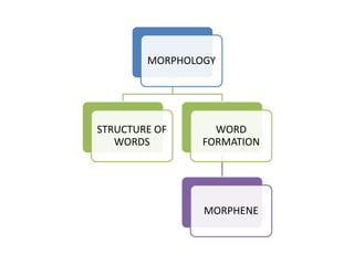 MORPHOLOGY
STRUCTURE OF
WORDS
WORD
FORMATION
MORPHENE
 