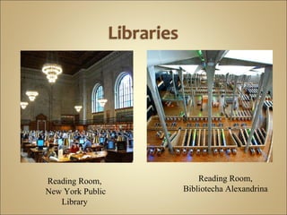 Reading Room,  New York Public Library  Reading Room, Bibliotecha Alexandrina 
